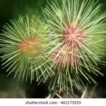 JRS低调看球直播:畅享绿茵激情的专属空间 ecaf9r