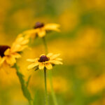 J2开奖现场直播最新实况全程高清在线观看 gdgd0