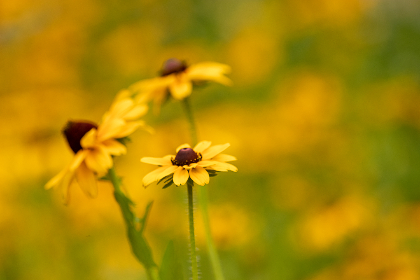 J2开奖现场直播最新实况全程高清在线观看