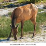 J2港台直播精彩放送:最新热门节目实时观看 md79yxgvw