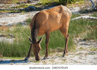 J2港台直播精彩放送:最新热门节目实时观看 J2港台直播精彩放送:最新热门节目实时观看