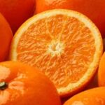 J2频道高清直播在线观看最新节目 nxpbega